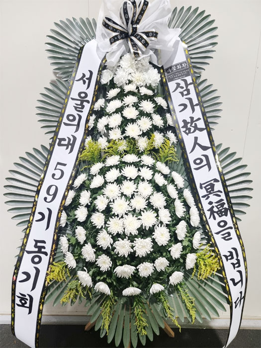 ST-FB233