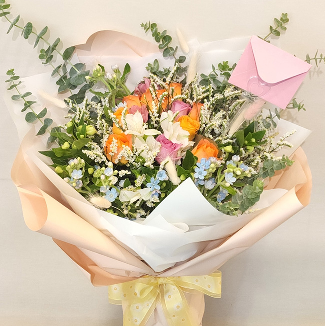 ST-C600