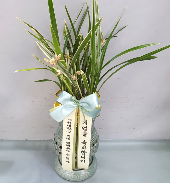 ST-E494