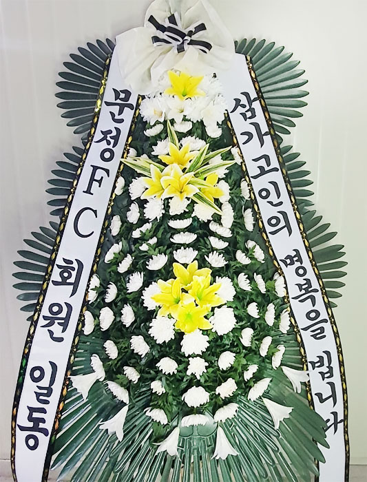 ST-FB141