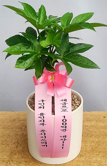 ST-D471