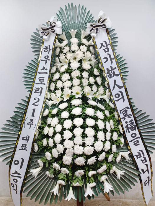 ST-FB233