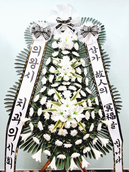 ST-FB233
