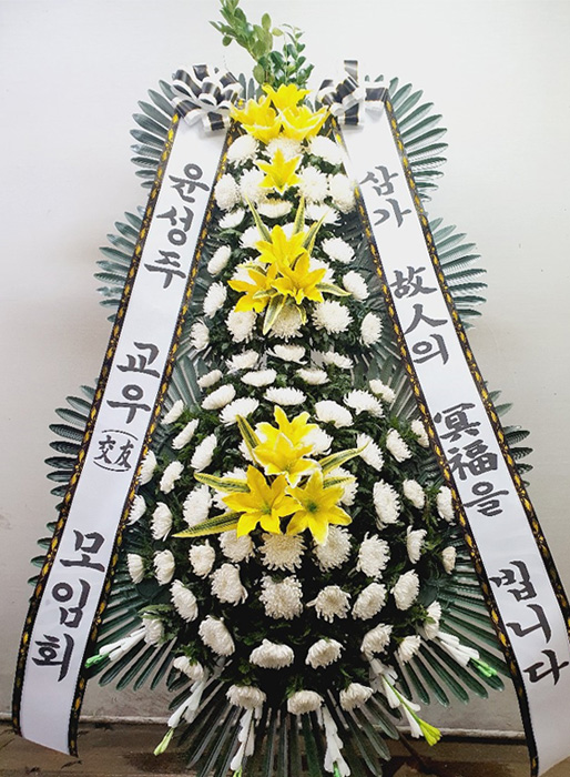 ST-FB154
