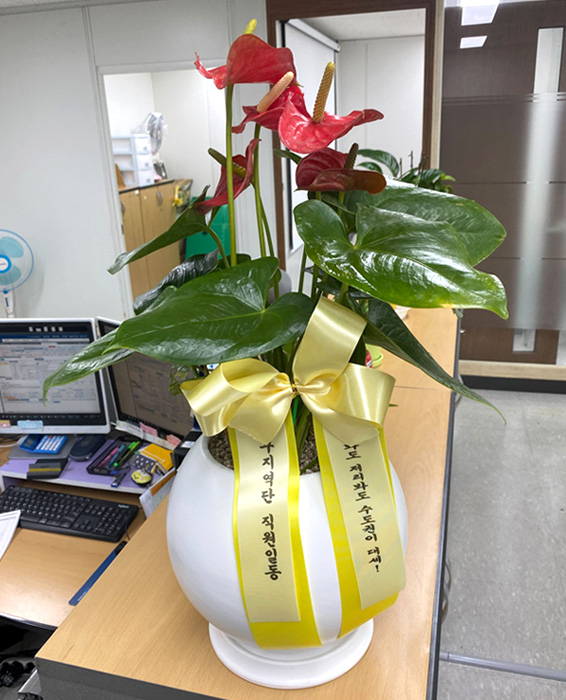 ST-D695