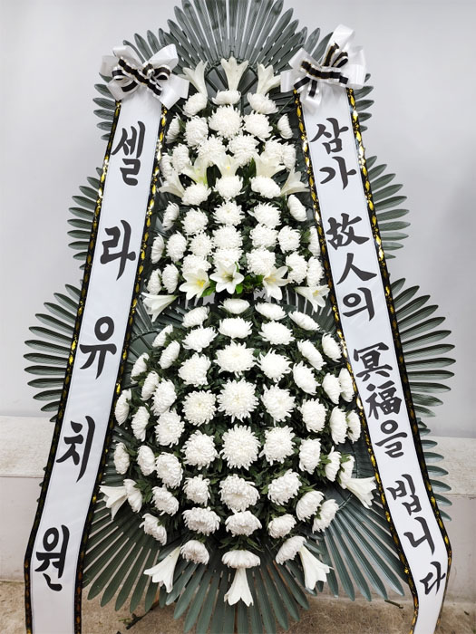 ST-FB162