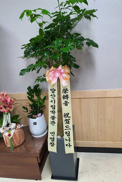 ST-D499