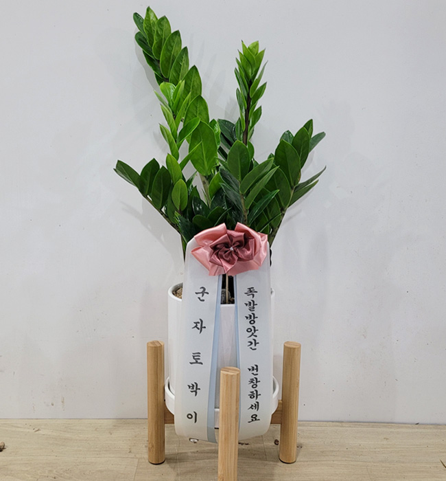 ST-D682