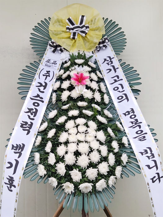 ST-FB141