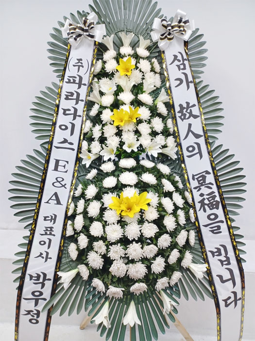 ST-FB154