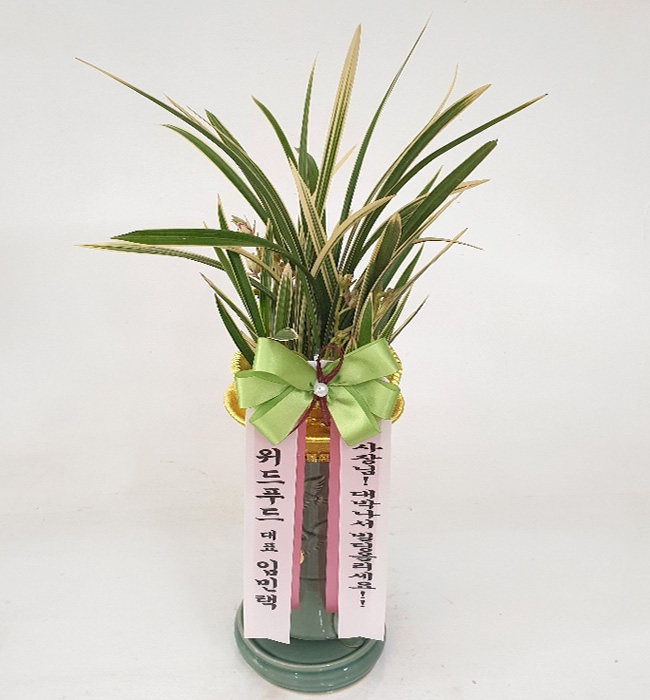 ST-E488