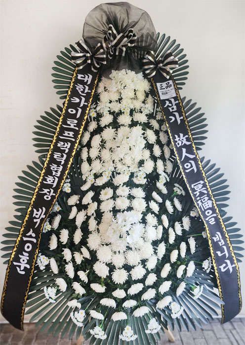 ST-FB252