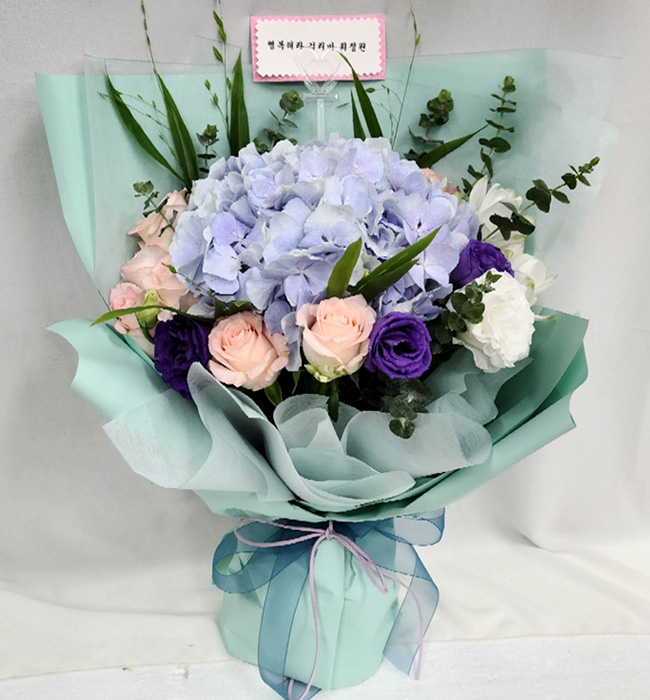 ST-C546