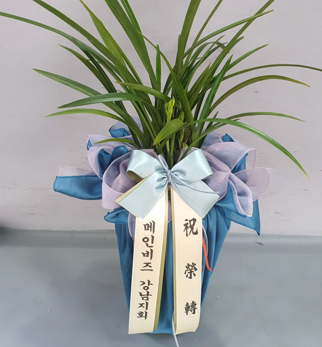 ST-E531