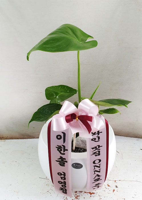 ST-D716