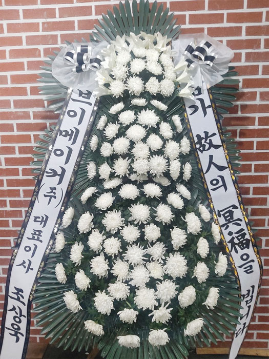 ST-FB233