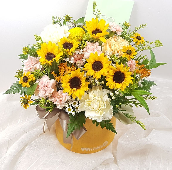 ST-B424