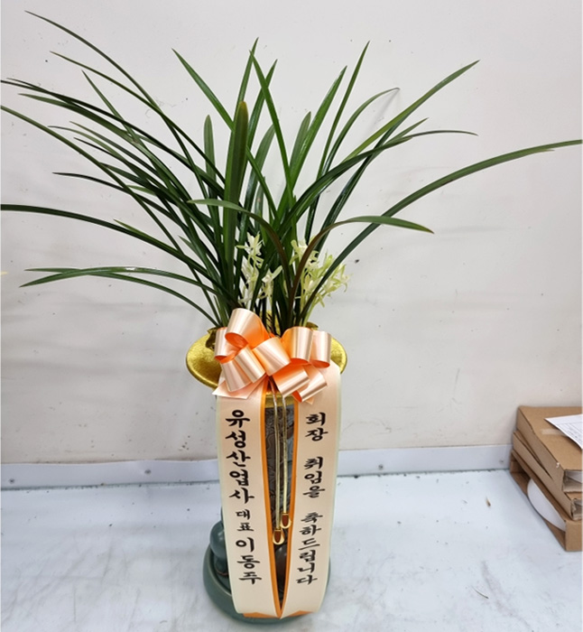 ST-E417