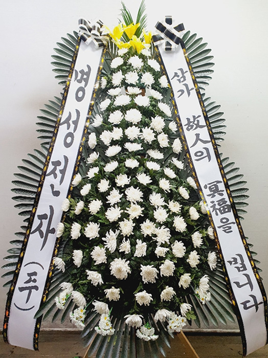 ST-FB162