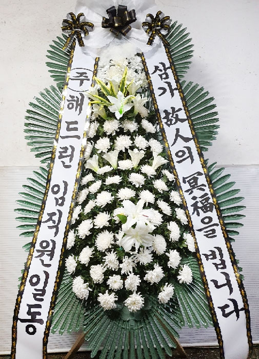 ST-FB233