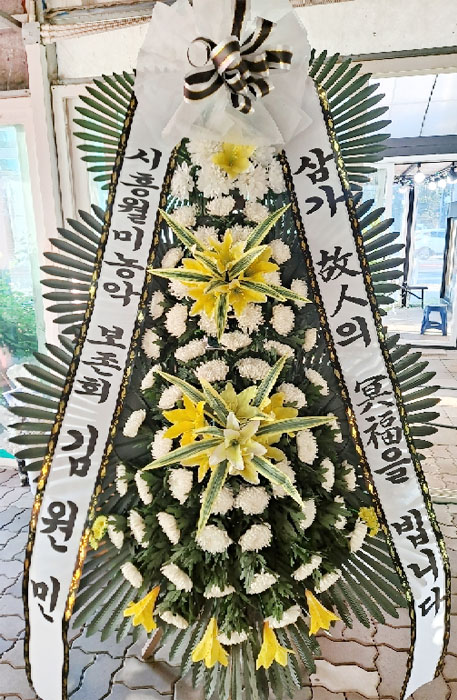 ST-FB154