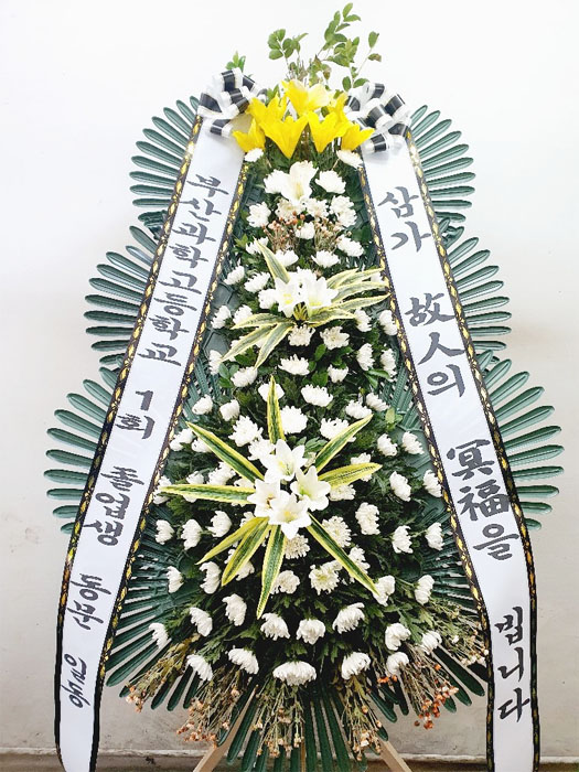 ST-FB226