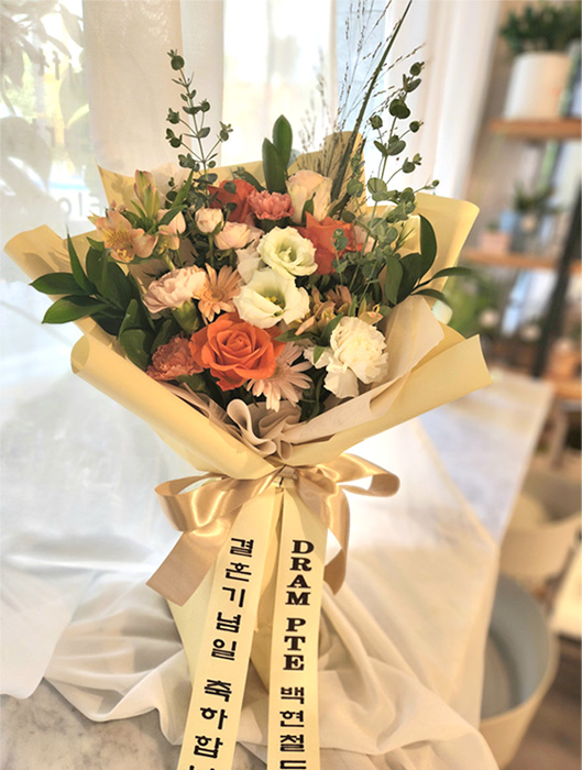 ST-C560