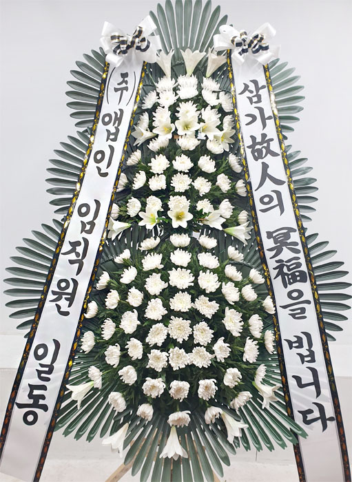 ST-FB226