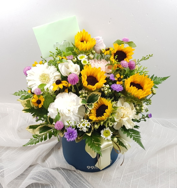ST-B331