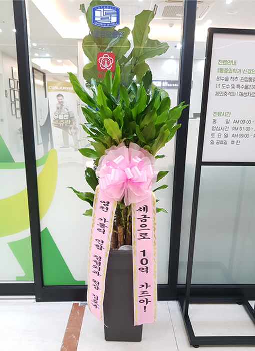 ST-D578