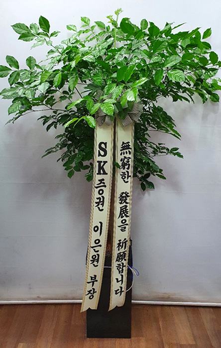 ST-D499