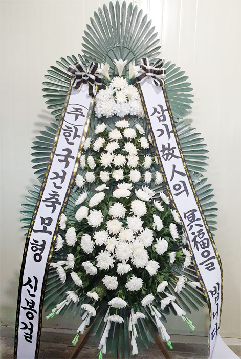 ST-FB233