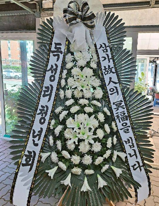 ST-FB233