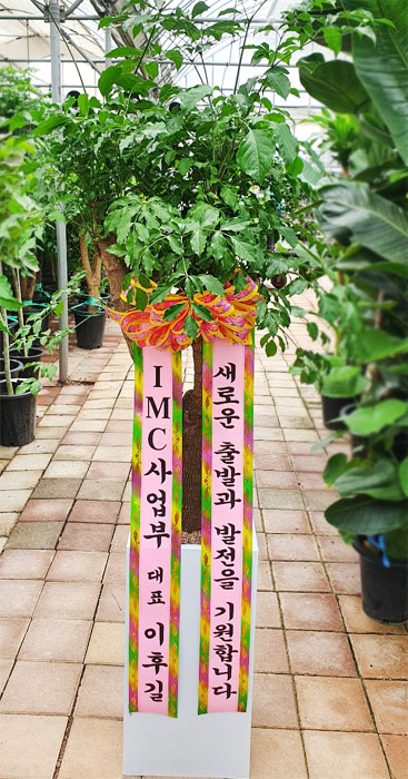 ST-D499