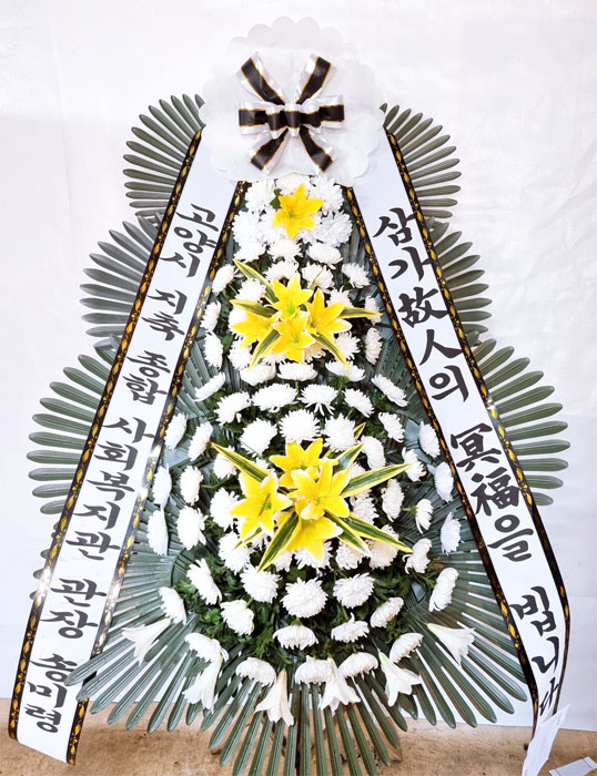 ST-FB226