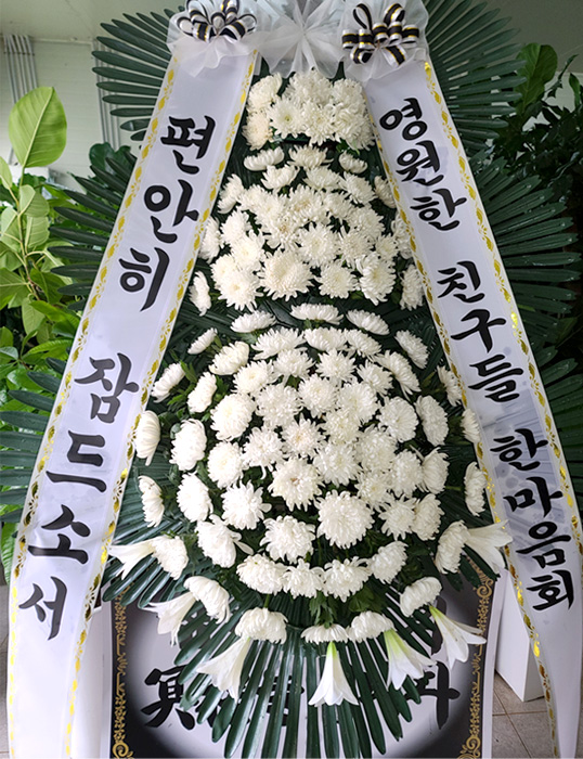 ST-FB226