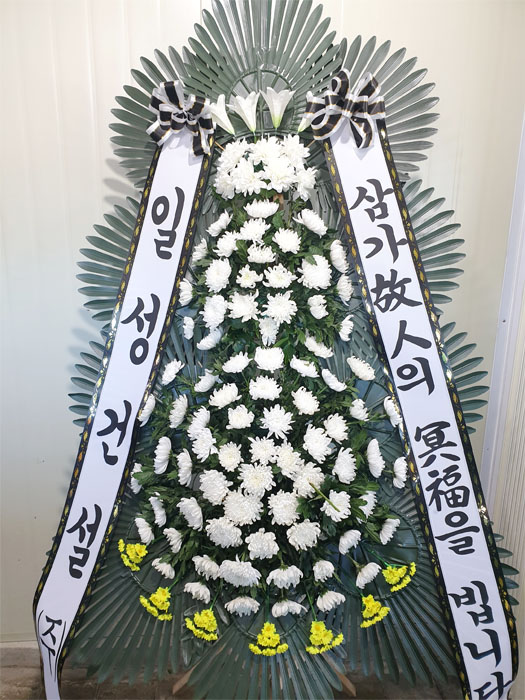 ST-FB162