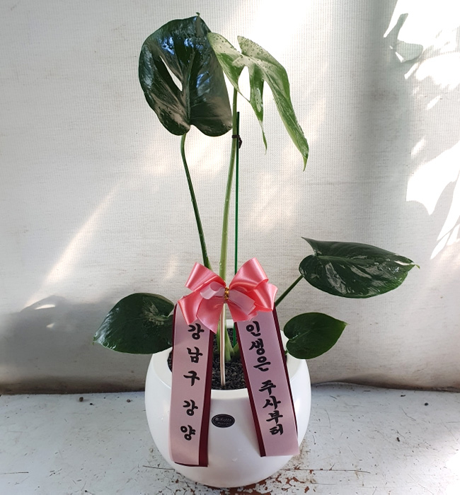 ST-D716