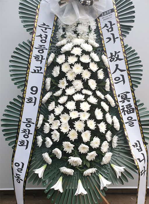 ST-FB233