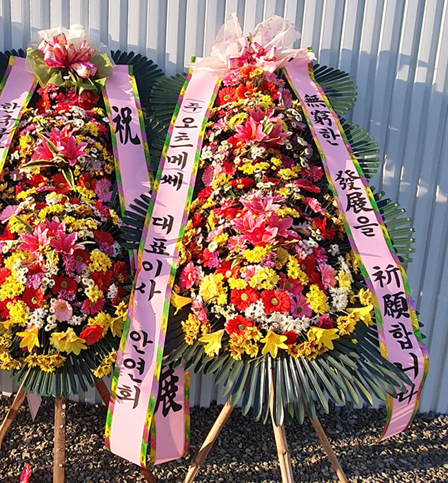 ST-FA248