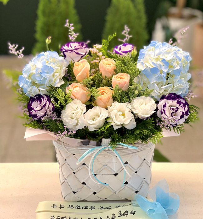 ST-A1661