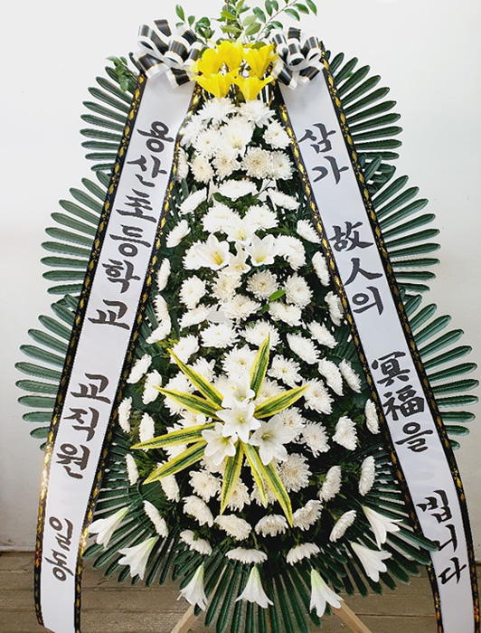 ST-FB226