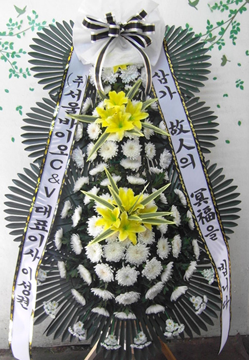 ST-FB226