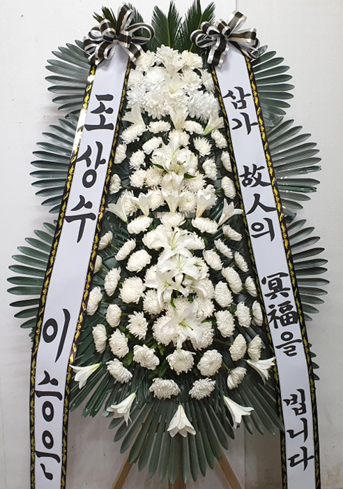 ST-FB233