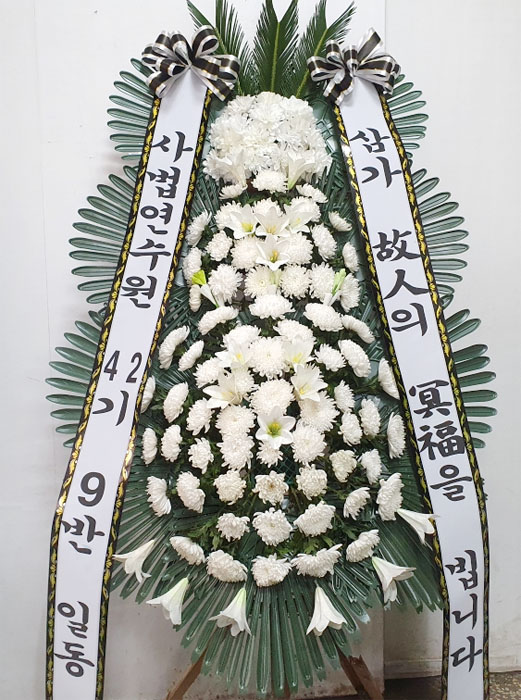 ST-FB233