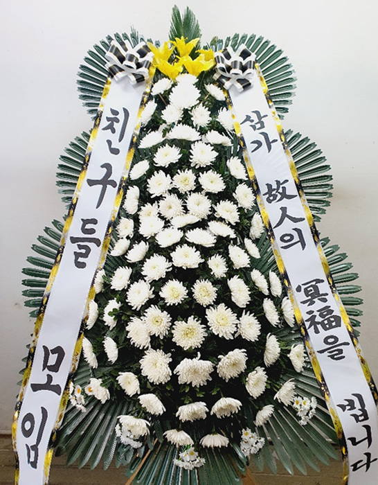ST-FB233