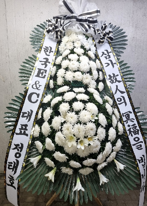 ST-FB162