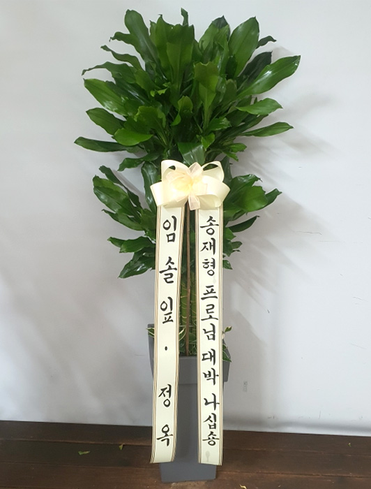 ST-D578