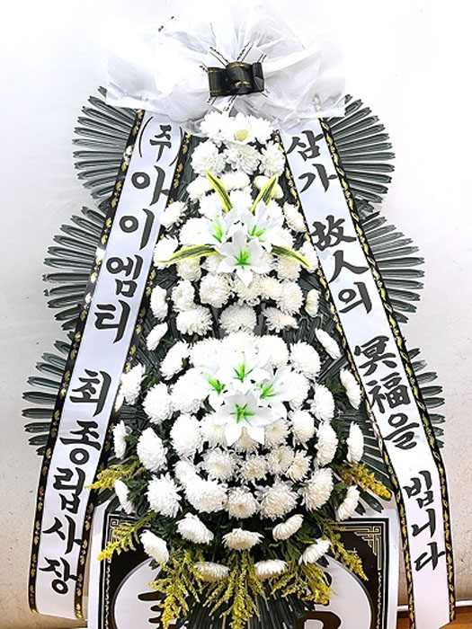 ST-FB226
