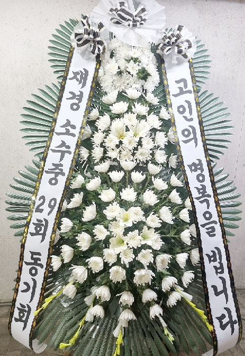 ST-FB226